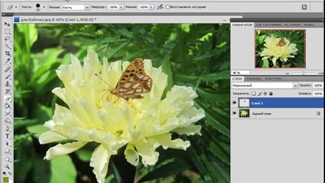 выделение объектов - быстрая маска.mp4 смотреть онлайн