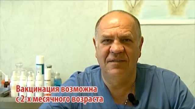 Зоосовет про бешенство смотреть онлайн