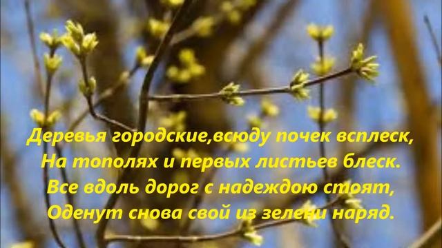 Мои стихи 47 ГОРОДСКАЯ ЛУЖАЙКА смотреть онлайн