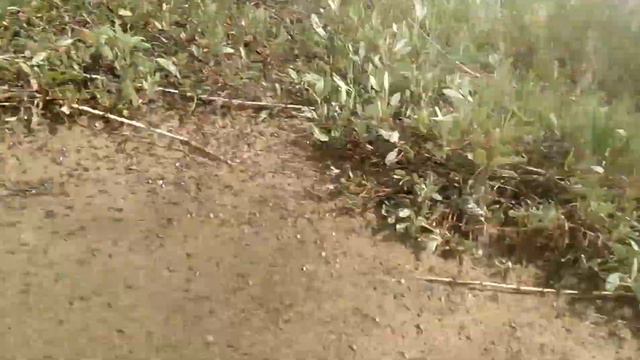 Мошкара на Эбейты смотреть онлайн