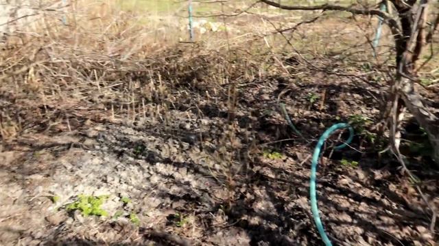 КАК ПРОХОДИТ ДЕНЬ В ДЕРЕВНЕ // БУДНИ ДЕРЕВЕНЩИНЫ // часть 1 смотреть онлайн