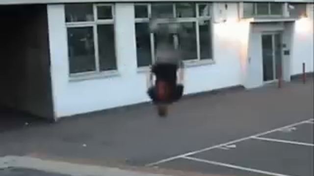 parkour profesional смотреть онлайн