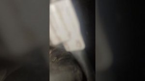 как заменить датчик давления выхлопных газов рено каджар Renault kadjar 1.5dci