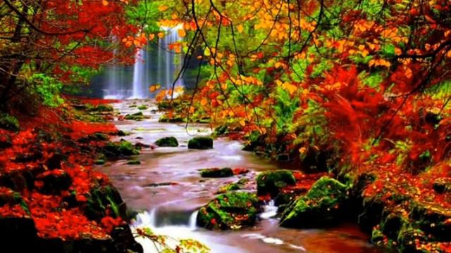 ПЕРЕХОД В ПЯТОЕ ИЗМЕРЕНИЕ (ТРЕТИЙ ГЛАЗ КАК КАНАЛ ВЗАИМОДЕЙСТВИЯ С ОКРУЖАЮЩИМ МИРОМ) смотреть онлайн