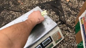 Лук на перо. Как упаковывать зелёный лук на продажу