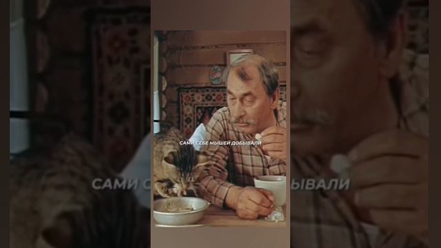 Наставление коту