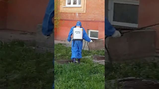 Обработка от блох.Подвальное помещение и прилегающий газон у дома смотреть онлайн