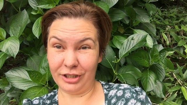 Пшённая каша. Мини Бог. Собаки. смотреть онлайн