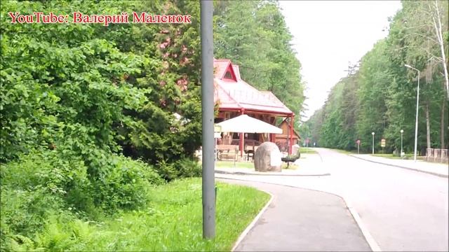 Съездил в Беловежскую пущу на блины! смотреть онлайн