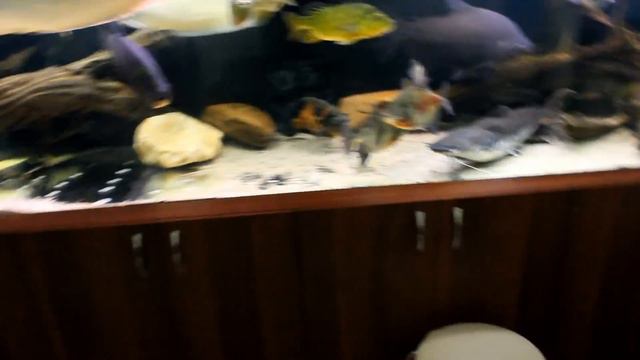 Update (October 2014) RUS+ Feeding