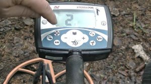 X Terra 705.  Настройки дискриминации.  Возврат к заводским параметрам. #176