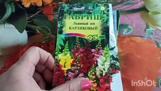 В Светофор привезли семена ? смотреть онлайн