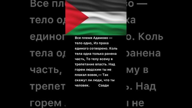 #свобода #мудрость #восточных #поэзия #стихи #цитаты #слова смотреть онлайн