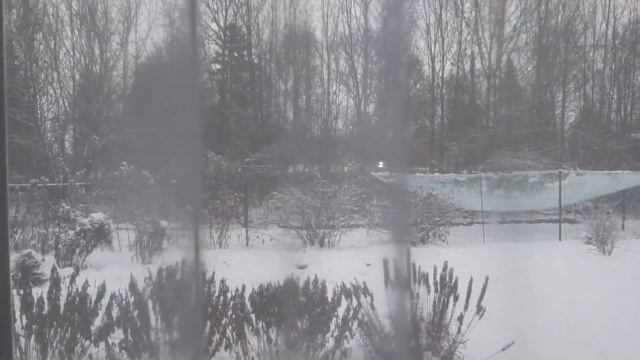 Создаю себе предНовогоднее настроение!?❄?Что я сшила????#влогдомохозяйки #шьюсама#handmadechristmas смотреть онлайн
