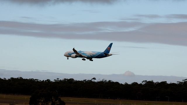 12 BOEING Takeoff and Landings at Melbourne Airport - 717 I 737 I 747F I 777 I 787 смотреть онлайн
