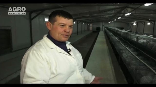 Satul european din raionul Orhei смотреть онлайн