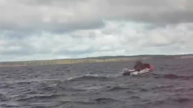 Altair PRO-360 смотреть онлайн