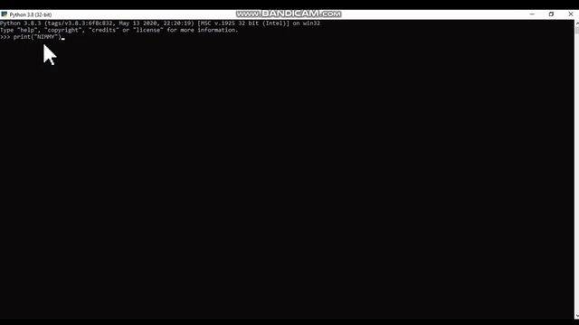 PYTHON PROGRAMMING TUTORIAL FOR BEGINNERS - HOW TO APPLY PRINT COMMAND IN PYTHON смотреть онлайн