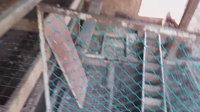 Как подсадить новых кур к старым смотреть онлайн