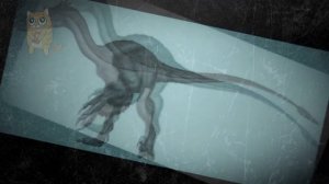 1001 Динозавр | Динозавры от А до Я | Названия и размеры | Часть 2