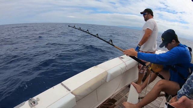 Azores Sport Fishing - blue marlin смотреть онлайн