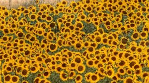 Потрясающей музыки для души Сергей Грищук. Потрясающая, Невероятно Шикарная музыка!