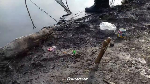 Рыбалка как отдых. рыбалка в Тамбове и области. Ловим карася и собираем грибы с друзьями. смотреть онлайн