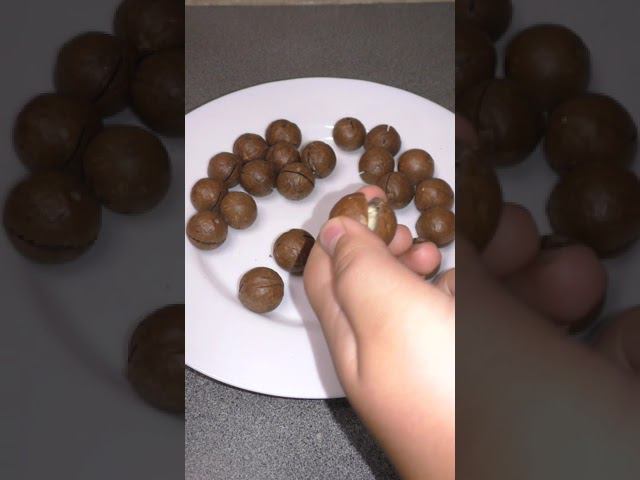 Самые вкуснячие орехи в мире смотреть онлайн