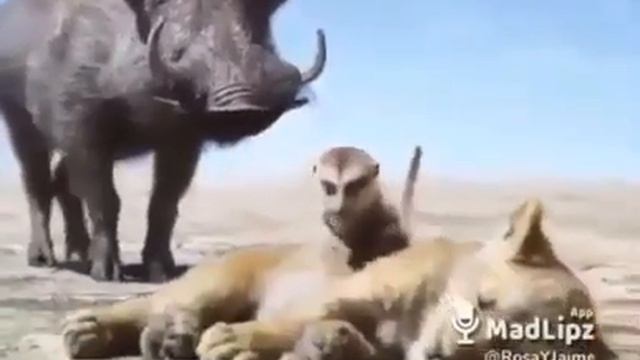 Los de gerrero🤣 смотреть онлайн