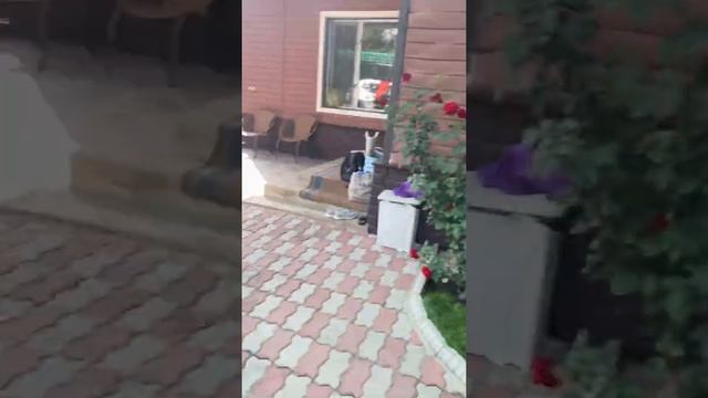 Подарок отцу от сына смотреть онлайн