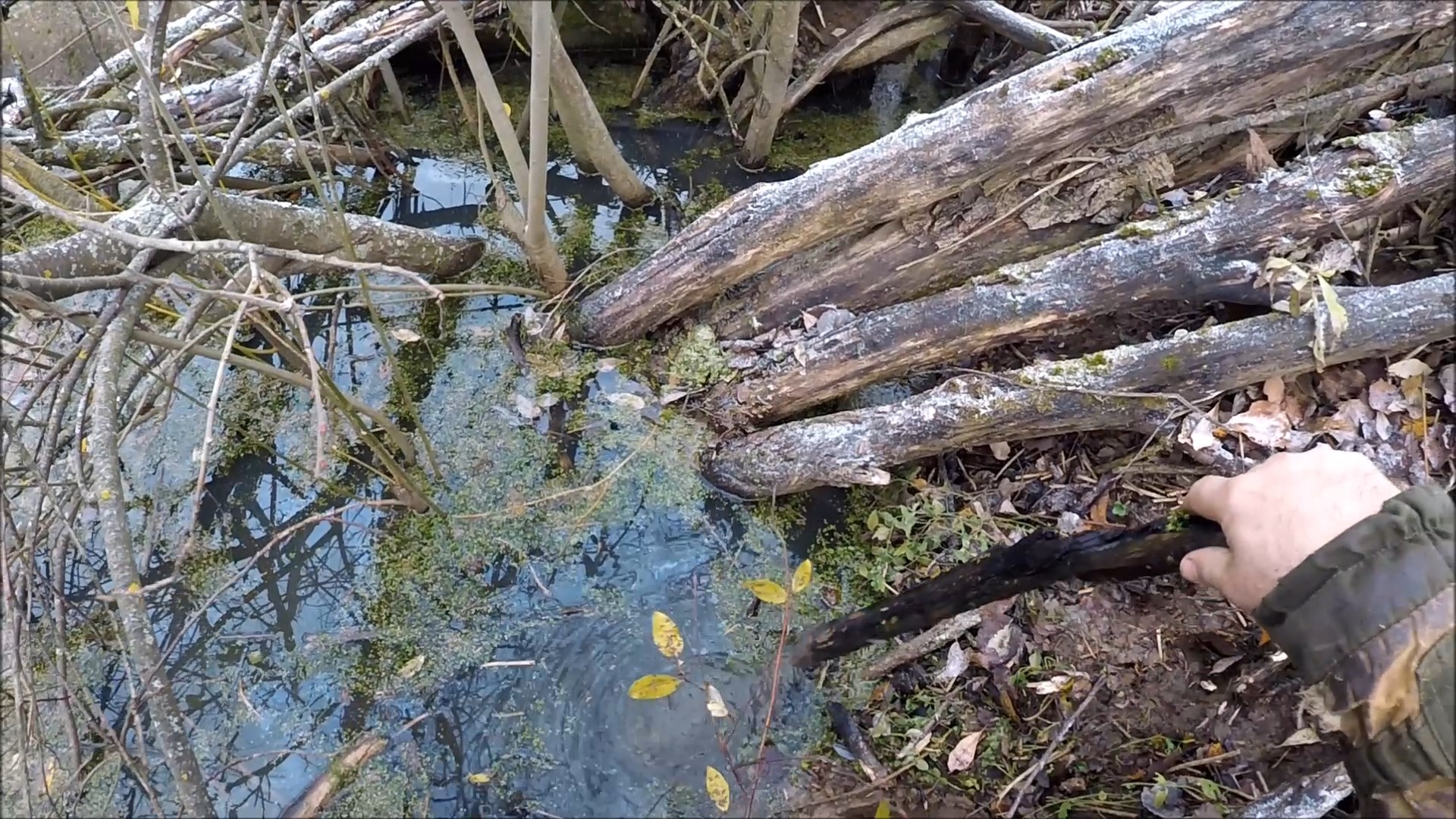 Ондатра в КПх320 (Будни охотника и рыбака) смотреть онлайн