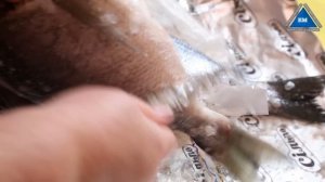 Как правильно чистить рыбу дорадо