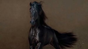 Спрячь за высоким забором девчонку