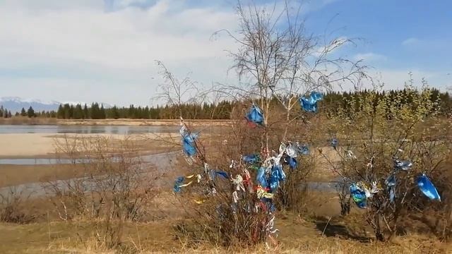 Путешествие в Аршан. Бурятия смотреть онлайн