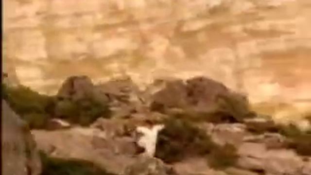 Tina Turner Feat. Sting -On Silent Wings смотреть онлайн