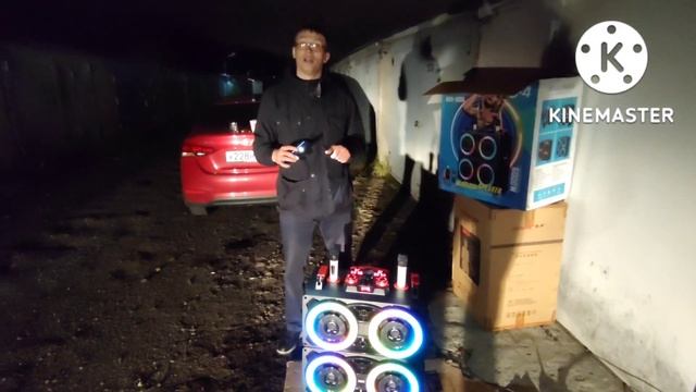 Многофункциональная МОЩНАЯ портативная колонка Qisheng NDR 8888 смотреть онлайн