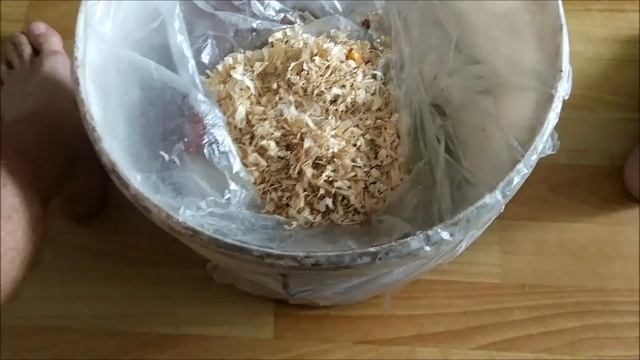 Как победить мошек в мусорном ведре смотреть онлайн