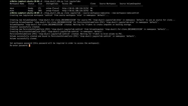 Clone a JupyterLab Workspace with the NetApp Data Science Toolkit смотреть онлайн