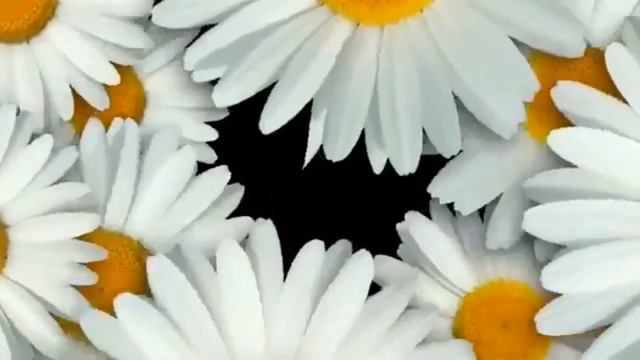 Бетховен.  Лунная соната