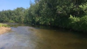 Allaska 390 Drive Lux под Suzuki 9.9(20) с водомётной насадкой на р.Унья.