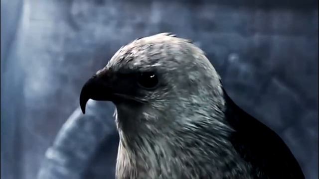АССАСИН ЭПИЧНАЯ ПЕСНЯ ПО ASSASSIN'S CREED