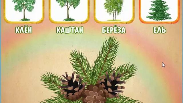 Изучаем какие листочки от каких деревьев. смотреть онлайн