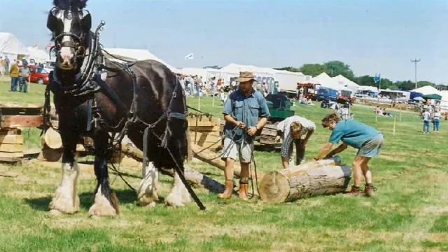 Шайры. Гиганты конного мира. смотреть онлайн