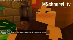 Minecraft vs Rule 34 in a Shellnut