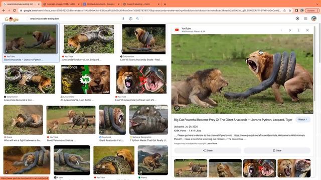 Anaconda snakes can eat a lion? + 4 more facts смотреть онлайн