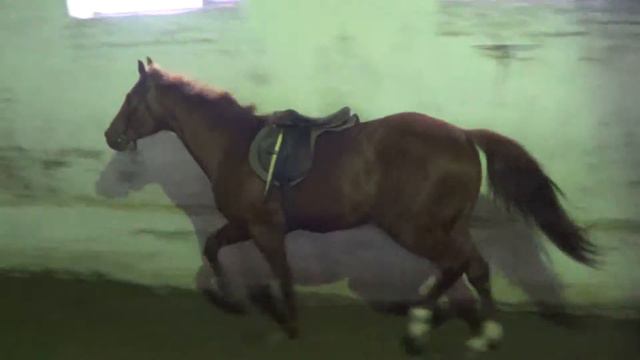 agurfinkel@rambler.ru смотреть онлайн