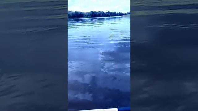 Россошанцы поймали сома в 80 кг, Блокнот Россошь, 28.06.2017 смотреть онлайн