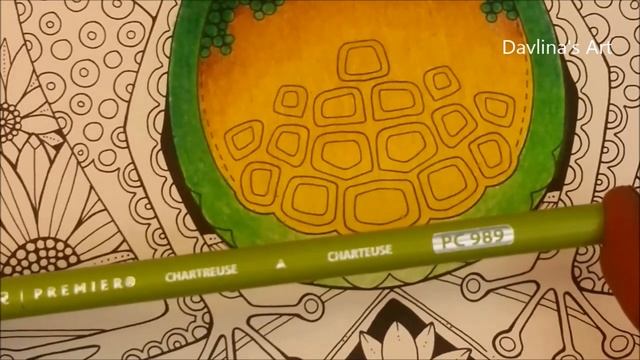 Color Along: Enchanted Forest | The Frog | Part 1 смотреть онлайн