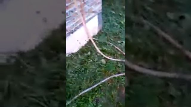 Летний душ с горячей водой своими руками смотреть онлайн