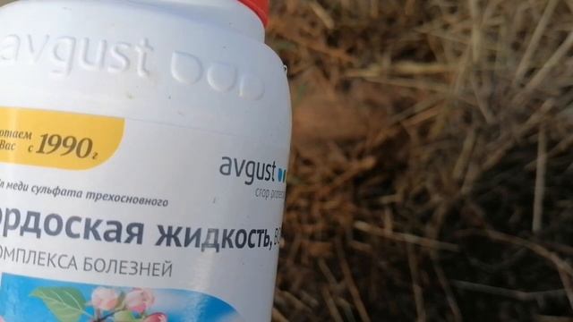 Опять Про Бордоскую Жидкость // Как ЕЕ РАЗВЕСТИ // С.Х.У